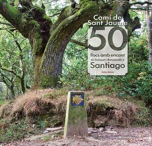 CAMI DE SANT JAUME: 50 LLOCS AMB ENCANT DE SOMPORT I RONCESVALLS