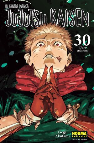 JUJUTSU KAISEN 30